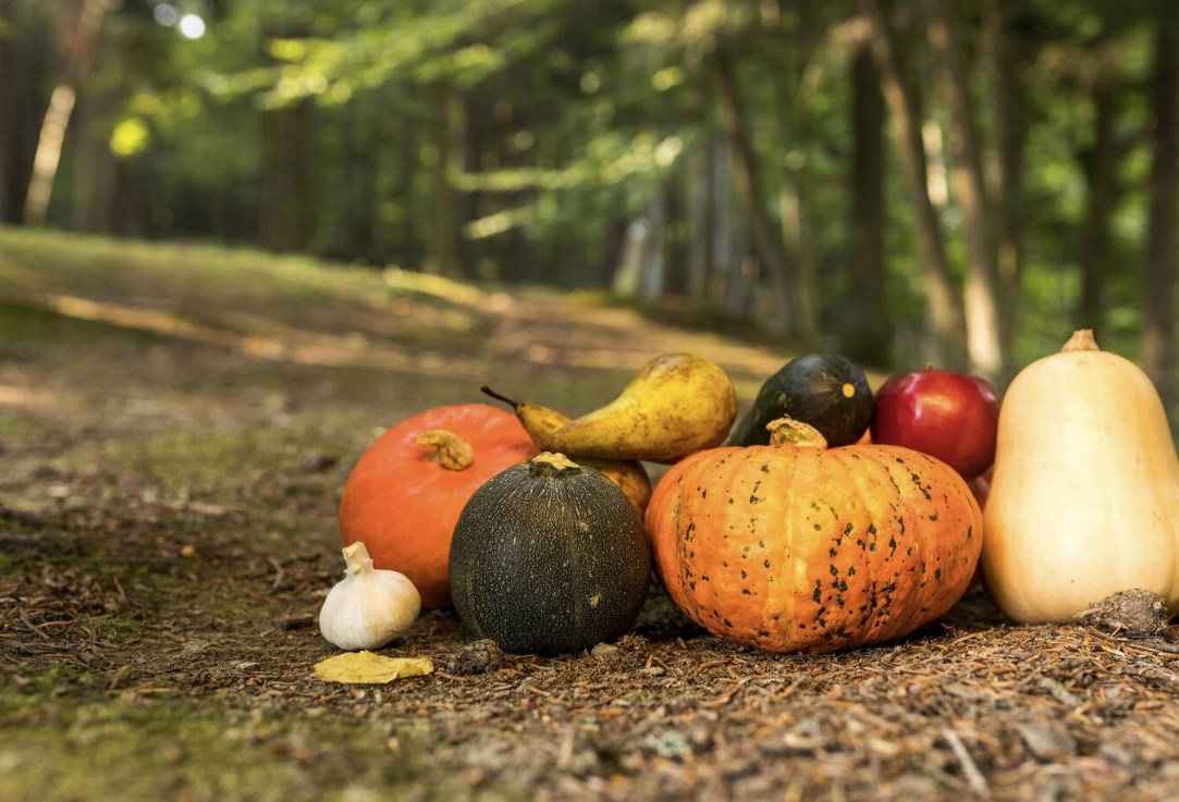 jesienne owoce i warzywa